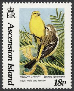 Colnect-853-294-Yellow-Canary-Serinus-flaviventris---Couple.jpg