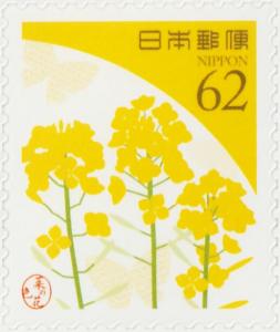 Colnect-6038-294-Rapeseed-Blossom-Yellow.jpg