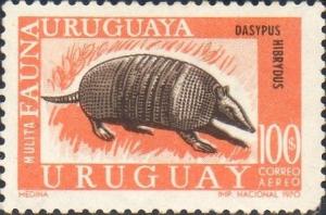 Colnect-1178-586-Southern-Long-nosed-Armadillo-Dasypus-hybridus-.jpg