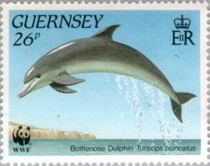 Colnect-126-116-Common-Bottlenose-Dolphin-Tursiops-truncatus.jpg