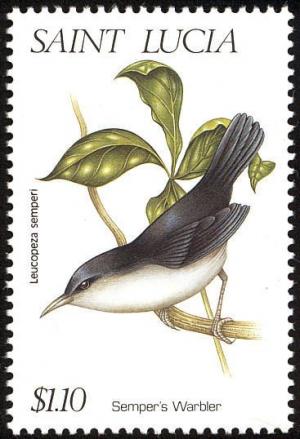 Colnect-1766-928-Semper-s-Warbler.jpg