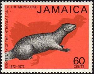 Colnect-2249-656-Mongoose-Family-Herpestidae.jpg