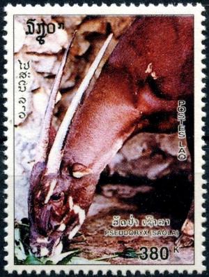 Colnect-2517-526-Saola-Pseudoryx-nghetinhensis.jpg