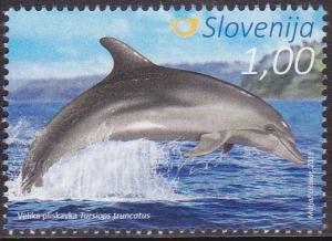 Colnect-3557-543-Common-bottlenose-dolphin---Tursiops-truncatus.jpg