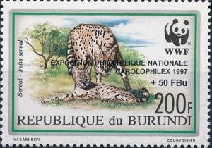 Colnect-3976-961-Serval-Leptailurus-serval---Overprints-and-Surcharged.jpg