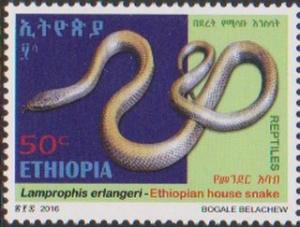 Colnect-4412-077-Ethiopian-House-Snake-Lamprophis-erlangeri.jpg