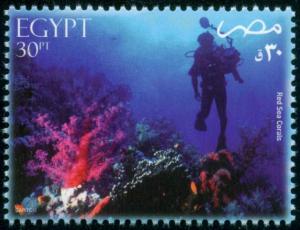 Colnect-4476-706-Red-Sea-Corals-and-Diver.jpg