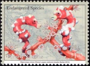 Colnect-5390-267-Denise--s-pygmy-seahorse.jpg