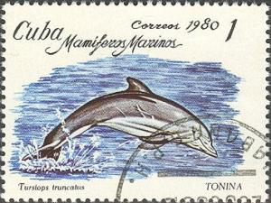 Colnect-660-317-Common-Bottlenose-Dolphin-Tursiops-truncatus.jpg