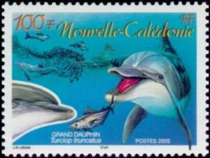 Colnect-858-340-Common-Bottlenose-Dolphin-Tursiops-truncatus.jpg