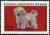 Colnect-4550-695-Bichon-frise-Canis-lupus-familiaris.jpg