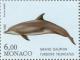 Colnect-149-540-Common-Bottlenose-Dolphin-Tursiops-truncatus.jpg