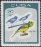 Colnect-2410-668-Domestic-Canary-Serinus-canaria-forma-domestica.jpg