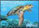 Colnect-2495-769-Loggerhead-Sea-Turtle-Caretta-caretta.jpg