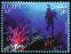 Colnect-4476-706-Red-Sea-Corals-and-Diver.jpg