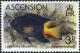 Colnect-4520-147-Lubbocks-Damselfish-Stegastes-lubbocki-.jpg