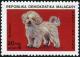 Colnect-4550-695-Bichon-frise-Canis-lupus-familiaris.jpg