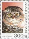 Colnect-1093-198-Longhair-Scottish-Fold-Felis-silvestris-catus.jpg