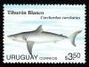 Colnect-2487-292-Great-White-Shark-Carchardon-carcharias.jpg