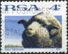 Colnect-2828-970-Merino-Sheep-Ovis-ammon-aries.jpg