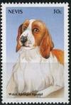 Colnect-5012-995-Welsh-Springer-spaniel.jpg