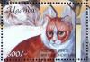 Colnect-6075-880-Red-and-White-British-Shorthair-Felis-silvestris-catus.jpg