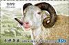 Colnect-6777-955-Sheep-Ovis-aries.jpg