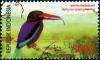 Colnect-940-821-Javan-Kingfisher-Halcyon-cyanoventris-.jpg