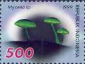 Colnect-1143-846-Mushrooms--Mycena-sp.jpg