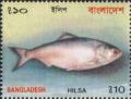 Colnect-1701-922-Hilsa-Shad-Tenualosa-ilisha.jpg