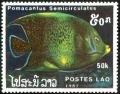 Colnect-1990-619-Koran-Angelfish-Pomacantus-semicirculatus.jpg