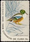 Colnect-2509-008-Northern-Shoveler-Spatula-clypeata.jpg