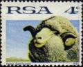 Colnect-779-880-Merino-Sheep-Ovis-ammon-aries.jpg