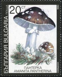 Colnect-2115-504-Poisonous-mushrooms---Amanita-pantherina.jpg