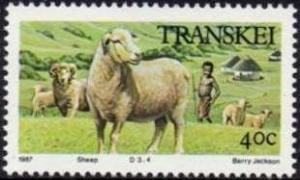 Colnect-1713-656-Merino-Sheep-Ovis-ammon-aries.jpg