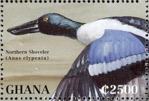 Colnect-1718-832-Northern-Shoveler-Spatula-clypeata.jpg