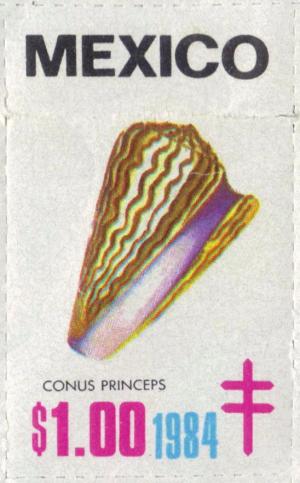 Colnect-2207-022-Coneshell-Conus-princeps.jpg