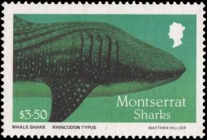 Colnect-2757-363-Whale-Shark-Rhincodon-typus.jpg