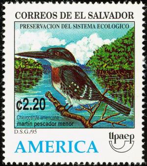 Colnect-2879-642-Green-Kingfisher-Chloroceryle-americana.jpg