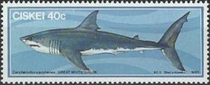 Colnect-2980-353-Great-White-Shark-Carcharodon-carcharias.jpg