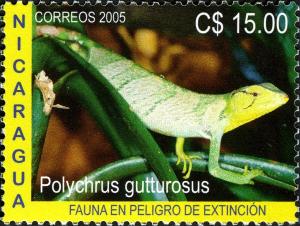 Colnect-3063-587-Berthold-s-Bush-Anole-Polychrus-gutturosus.jpg