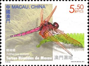 Colnect-3070-248-Crimson-Marsh-Glider-Trithemis-aurora.jpg