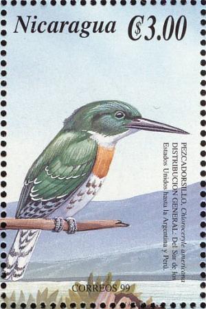 Colnect-3803-031-Green-Kingfisher-Chloroceryle-americana.jpg