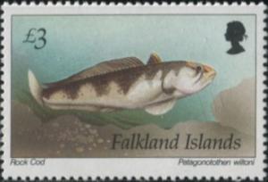 Colnect-3909-718-Cod-Icefish-Patagonotothen-wiltoni.jpg