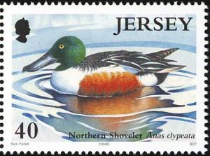 Colnect-4400-102-Northern-Shoveler-Spatula-clypeata.jpg