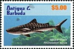 Colnect-5942-700-Whale-Shark-Rhincodon-typus.jpg