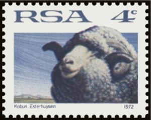 Colnect-6347-200-Merino-Sheep-Ovis-ammon-aries.jpg