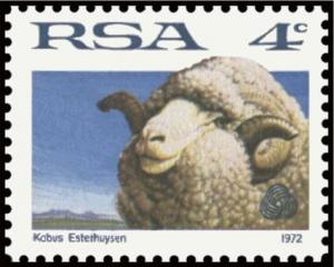 Colnect-6347-202-Merino-Sheep-Ovis-ammon-aries.jpg