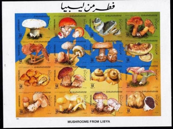 Colnect-5486-071-Mushrooms-from-Libya.jpg