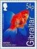 Colnect-121-075-Goldfish-Carassius-auratus.jpg